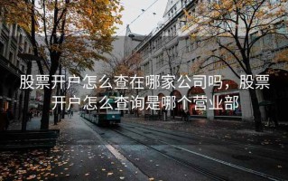 股票开户怎么查在哪家公司吗，股票开户怎么查询是哪个营业部