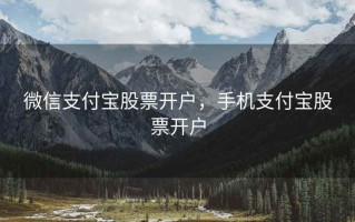 微信支付宝股票开户，手机支付宝股票开户
