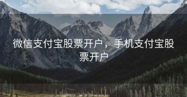 微信支付宝股票开户，手机支付宝股票开户