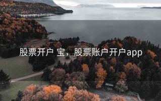 股票开户 宝，股票账户开户app