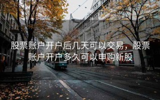 股票账户开户后几天可以交易，股票账户开户多久可以申购新股