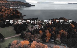 广东股票开户开什么资料，广东证券开户