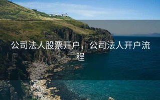 公司法人股票开户，公司法人开户流程