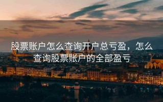 股票账户怎么查询开户总亏盈，怎么查询股票账户的全部盈亏