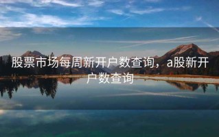 股票市场每周新开户数查询，a股新开户数查询