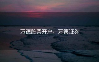 万德股票开户，万德证券