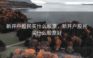 新开户股民买什么股票，新开户股民买什么股票好
