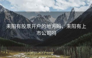 耒阳有股票开户的地方吗，耒阳有上市公司吗