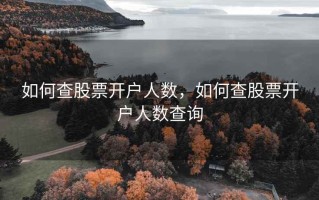 如何查股票开户人数，如何查股票开户人数查询