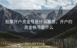 股票开户资金号是什么意思，开户的资金帐号是什么