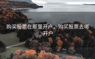 购买股票在那里开户，购买股票去哪开户