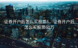 证券开户后怎么买股票6，证券开户后怎么买股票60万