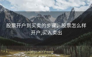 股票开户到买卖的步骤，股票怎么样开户,买入卖出