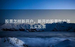 股票怎样新开户，新开的股票账户怎么买股票