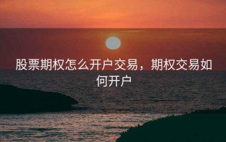 股票期权怎么开户交易，期权交易如何开户
