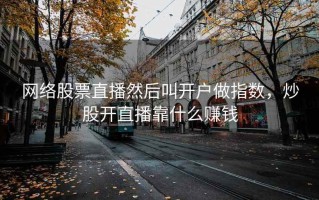 网络股票直播然后叫开户做指数，炒股开直播靠什么赚钱