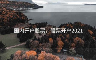国内开户股票，股票开户2021
