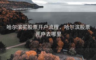 哈尔滨买股票开户流程，哈尔滨股票开户去哪里