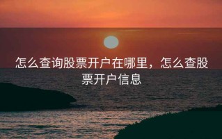 怎么查询股票开户在哪里，怎么查股票开户信息