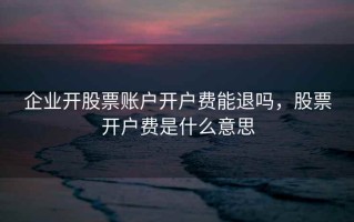 企业开股票账户开户费能退吗，股票开户费是什么意思