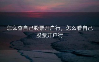怎么查自己股票开户行，怎么看自己股票开户行