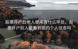 股票开户后他人使用有什么坏处，股票开户别人能看到我的个人信息吗