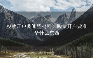 股票开户要哪些材料，股票开户要准备什么东西