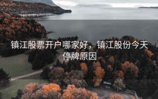 镇江股票开户哪家好，镇江股份今天停牌原因