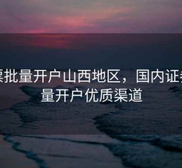 股票批量开户山西地区，国内证券批量开户优质渠道