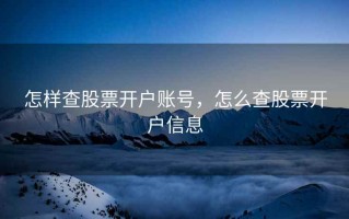 怎样查股票开户账号，怎么查股票开户信息