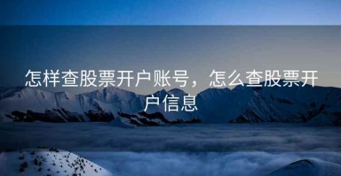 怎样查股票开户账号，怎么查股票开户信息