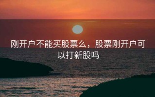 刚开户不能买股票么，股票刚开户可以打新股吗