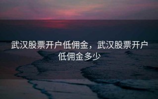 武汉股票开户低佣金，武汉股票开户低佣金多少