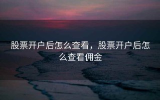 股票开户后怎么查看，股票开户后怎么查看佣金