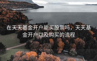 在天天基金开户能买股票吗，天天基金开户以及购买的流程