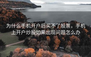 为什么手机开户后买不了股票，手机上开户炒股如果出现问题怎么办
