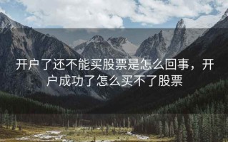开户了还不能买股票是怎么回事，开户成功了怎么买不了股票