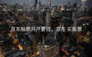 京东股票开户要钱，京东 买股票