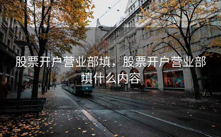股票开户营业部填，股票开户营业部填什么内容