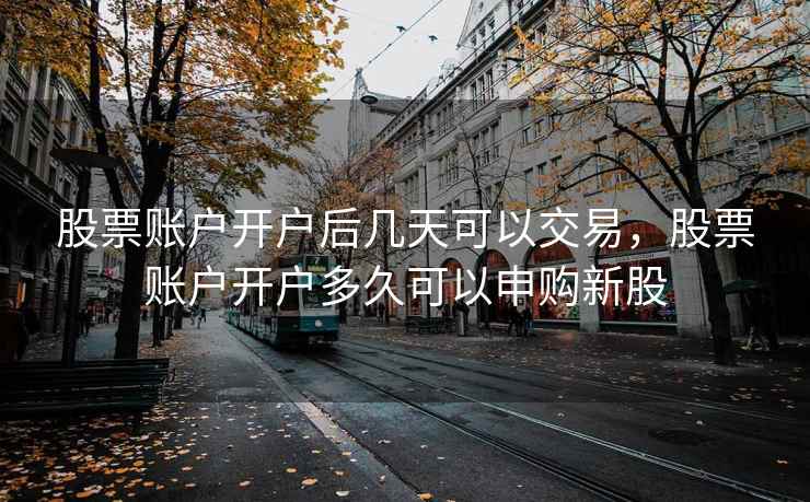 股票账户开户后几天可以交易，股票账户开户多久可以申购新股