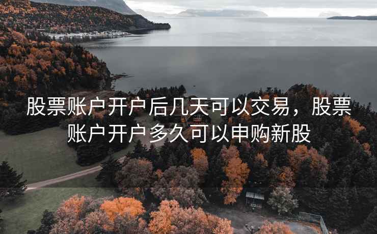 股票账户开户后几天可以交易，股票账户开户多久可以申购新股