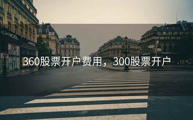 360股票开户费用,300股票开户 360股票开户费用,300股票开户