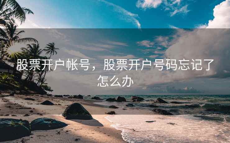 股票开户帐号，股票开户号码忘记了怎么办