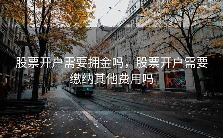 股票开户需要拥金吗，股票开户需要缴纳其他费用吗