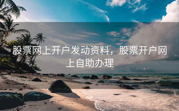 股票网上开户发动资料，股票开户网上自助办理