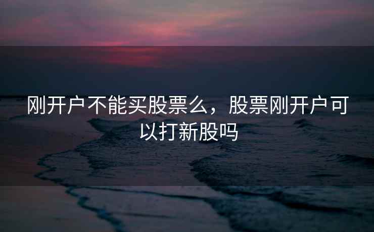 刚开户不能买股票么,股票刚开户可以打新股吗 刚开户不能买股票么,股票刚开户可以打新股吗