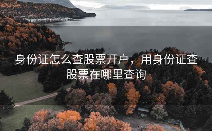 身份证怎么查股票开户,用身份证查股票在哪里查询 身份证怎么查股票开户,用身份证查股票在哪里查询