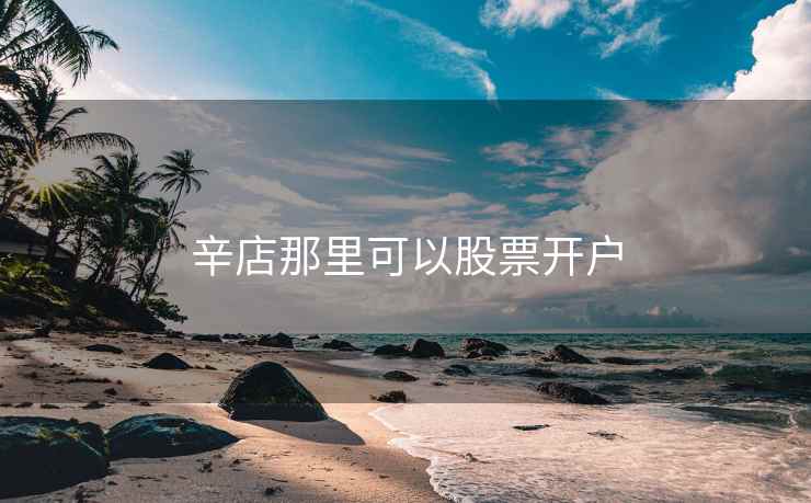 辛店那里可以股票开户