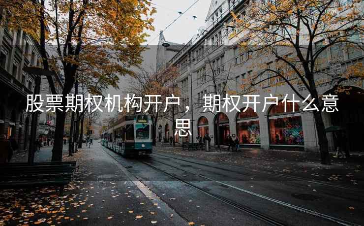 股票期权机构开户，期权开户什么意思