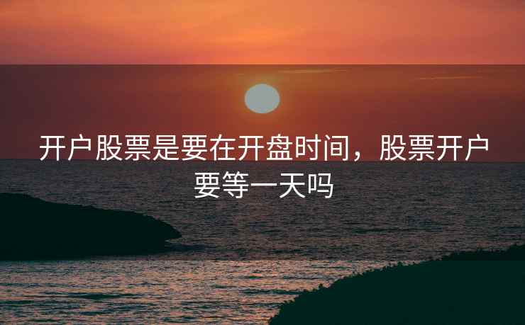 开户股票是要在开盘时间，股票开户要等一天吗